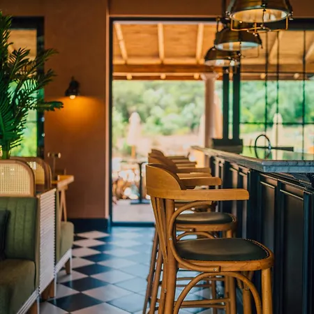 The Remote Sarıgerme